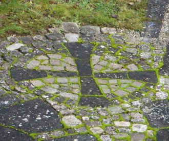 unser Emblem im Garten auf dem Boden